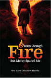 Cover for Been Through Fire But Mercy Spared Me