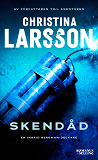 Cover for Skendåd