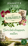 Cover for Som två droppar vatten