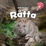 Cover for Faktaraketen - Råtta