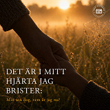Cover for Det är i mitt hjärta jag brister: Min son dog, vem är jag nu?