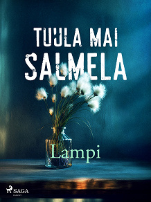 Cover for Lampi