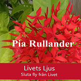 Cover for Livets Ljus. Sluta fly från Livet. 