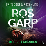 Cover for Offret i gränden