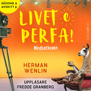 Cover for Mindsetboxen (S2E9 Livet e perfa!)