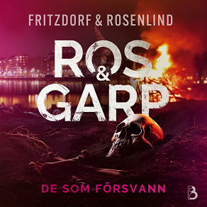 Cover for De som försvann