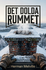 Cover for Det dolda rummet