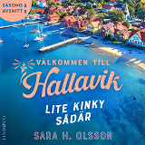 Cover for Lite kinky sådär (S3E3 Välkommen till Hallavik)