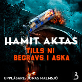 Cover for Tills ni begravs i aska