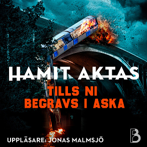 Cover for Tills ni begravs i aska