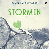 Cover for Stormen