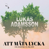 Cover for Att mäta lycka: Inre utveckling i en ytlig värld