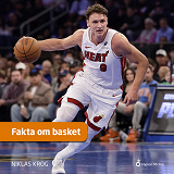 Cover for Fakta om basket