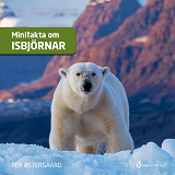 Cover for Minifakta om isbjörnar