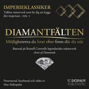 Cover for Diamantfälten: Möjligheterna du letar efter finns där du står