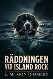 Cover for Räddningen vid Island Rock