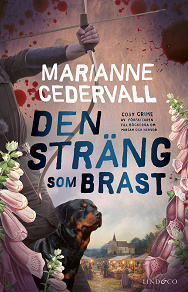 Cover for Den sträng som brast