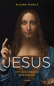 Cover for Jesus: Ett historiskt mysterium