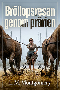 Cover for Bröllopsresan genom prärien