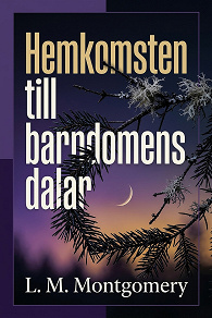 Cover for Hemkomsten till barndomens dalar