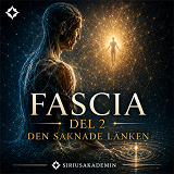 Cover for Fascia del 2 – Den saknade länken