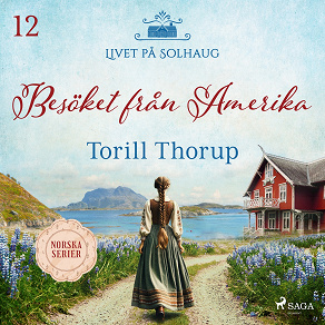 Cover for Besöket från Amerika