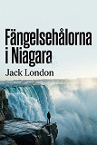 Cover for Fängelsehålorna i Niagara