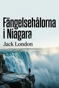 Cover for Fängelsehålorna i Niagara