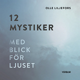 Cover for 12 mystiker : med blick för ljuset