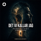 Cover for Det vi kallar jag - om identitet, ego och det vi är här för att erfara
