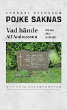 Cover for Pojke saknas