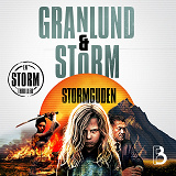 Cover for Stormguden