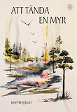 Cover for Att tända en myr