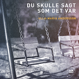 Cover for Du skulle sagt som det var